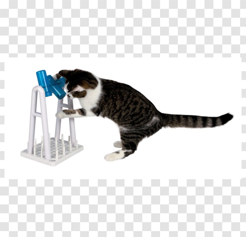 Cat Play And Toys Food Mouse Scratching Post - Turn Around Look Transparent PNG