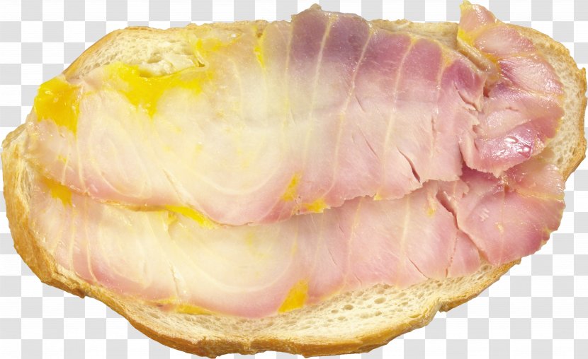 Butterbrot Hot Dog Food Ham Bacon - Hotdog Transparent PNG
