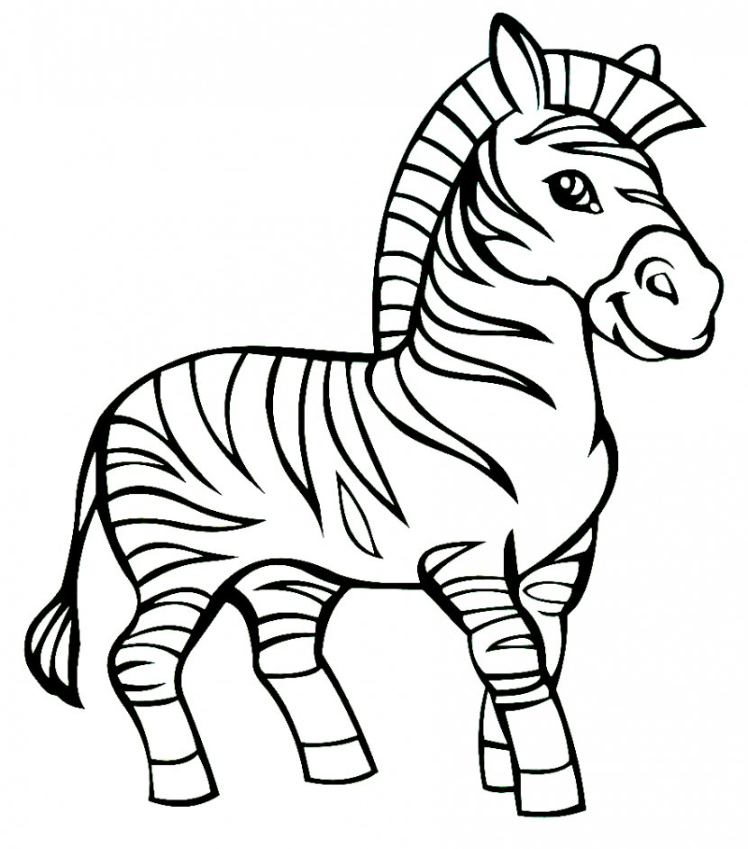 Coloring Book Horse Zebra Child Boy - Watercolor Transparent PNG