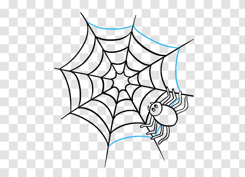 Spider-Man Southern Black Widow Western Spider Web - Symmetry Transparent PNG