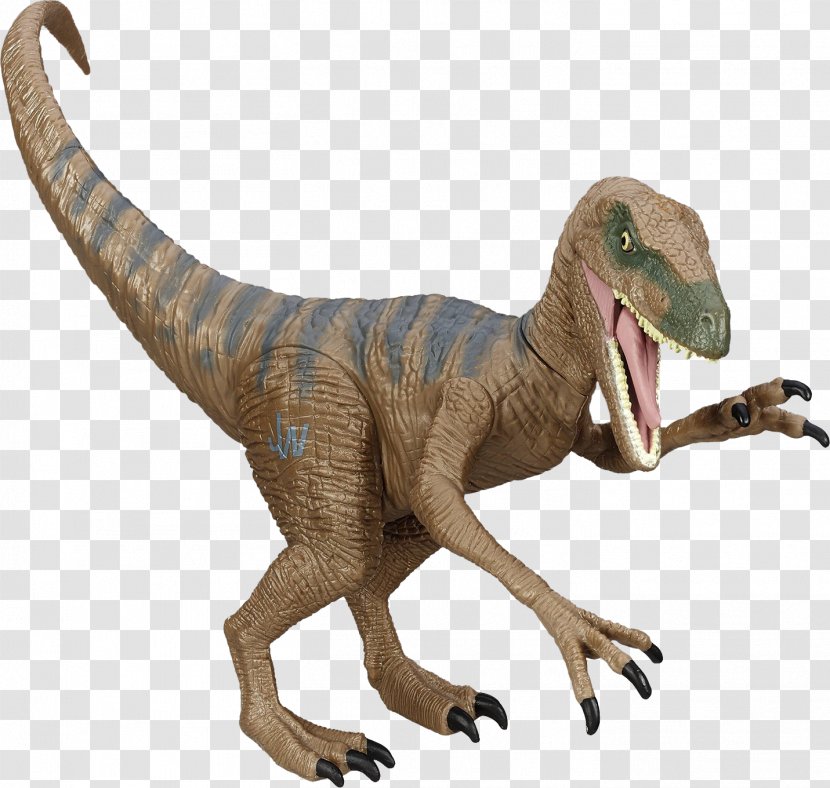 Velociraptor Lego Jurassic World Tyrannosaurus Dinosaur Pachycephalosaurus Transparent PNG