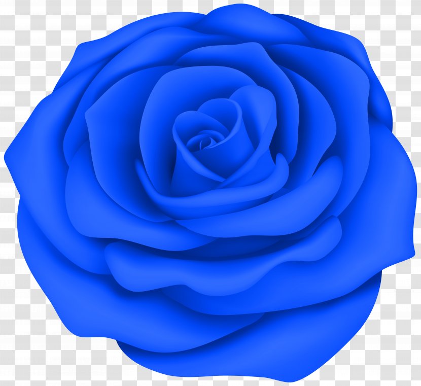Clip Art Rose Desktop Wallpaper Image Drawing - Blue Transparent PNG
