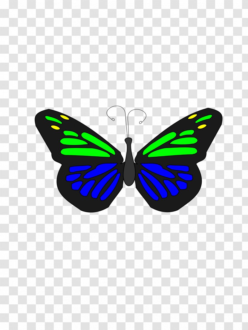 Butterfly Animation - User Interface Transparent PNG