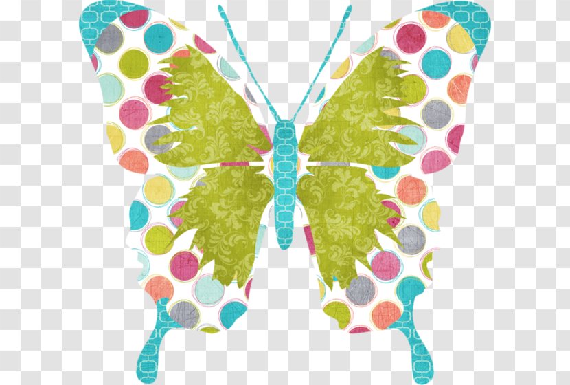 Butterfly Moth Clip Art - Organism - A Transparent PNG