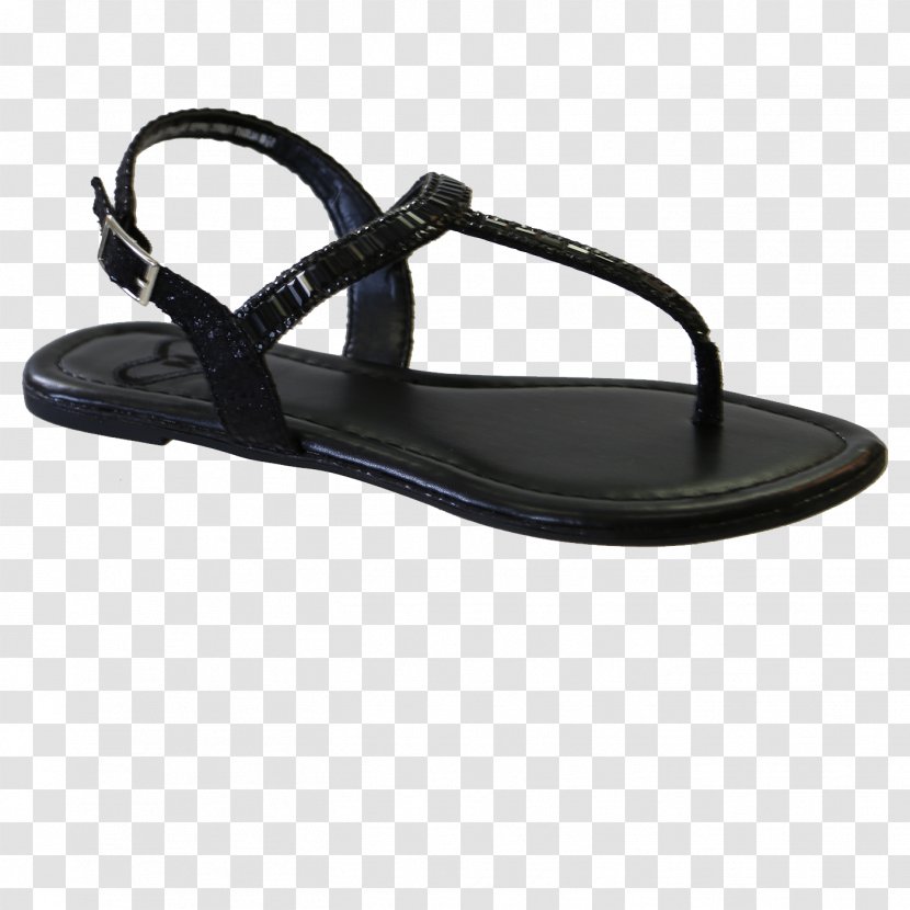 Flip-flops Sandal Shoe Slide Clothing - Tree - Flat Footwear Transparent PNG