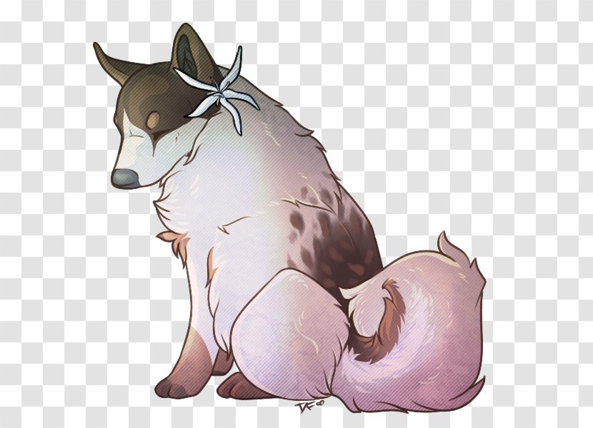 Whiskers Dog Cat Snout - Mammal Transparent PNG
