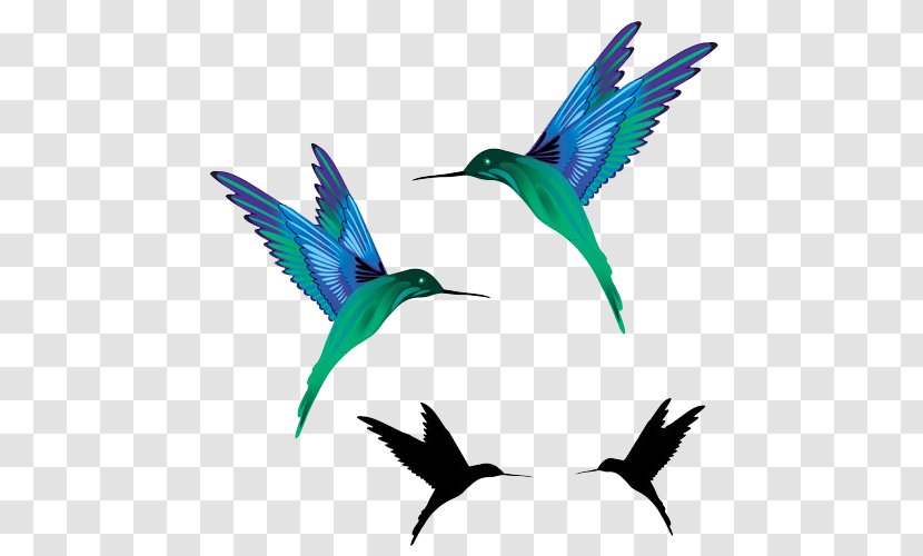Hummingbird Tattoo Black-and-gray Idea - Vocal Coach - Flying Birds Transparent PNG