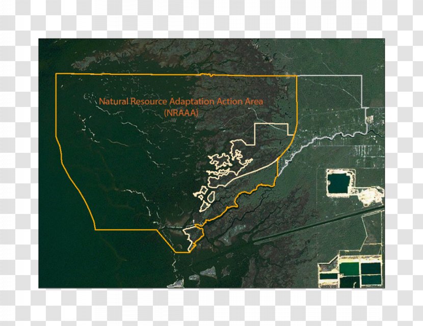 Map Tuberculosis - World - Environmental Law Transparent PNG