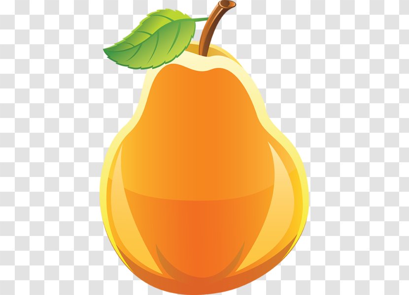 Clip Art Asian Pear Openclipart Fruit - Bosc - Fruits Clipart Transparent PNG