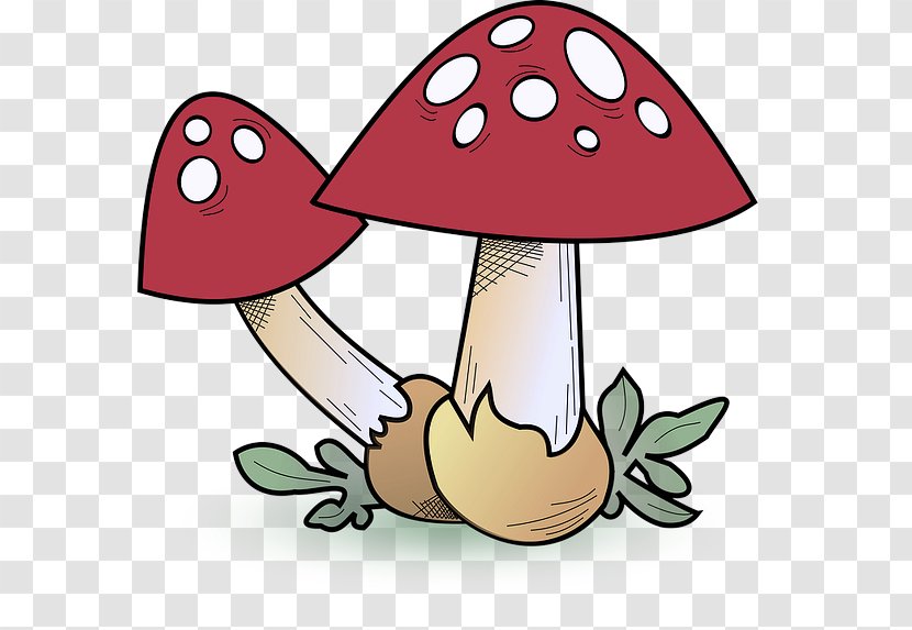 Mushroom Cartoon Clip Art Agaric Fungus - Agaricomycetes Transparent PNG
