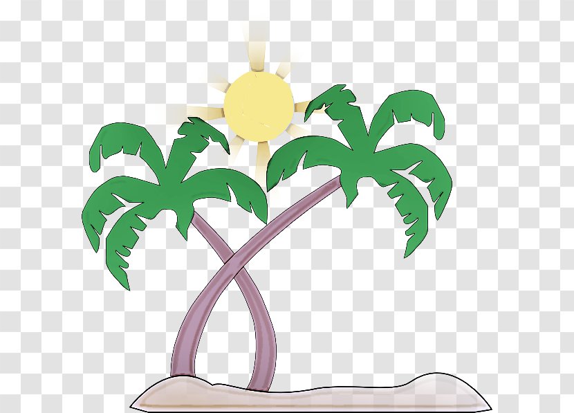 Palm Tree - Flower - Houseplant Transparent PNG