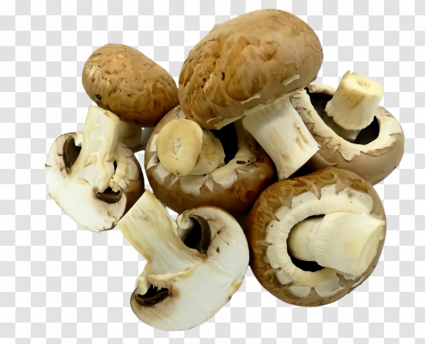 Champignon Mushroom Agaricus Agaricaceae Matsutake - Edible Pleurotus Eryngii Transparent PNG