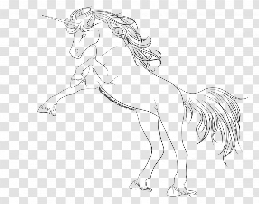Line Art Drawing Coloring Book Black And White Sketch - Mustang Horse - Color Transparent PNG