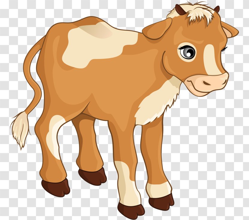 Calf Cattle Clip Art - Carnivoran - Child Transparent PNG