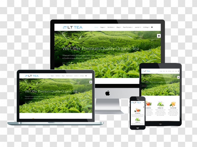 Responsive Web Design Tea WordPress Template Theme - System - Shop Brochure Transparent PNG