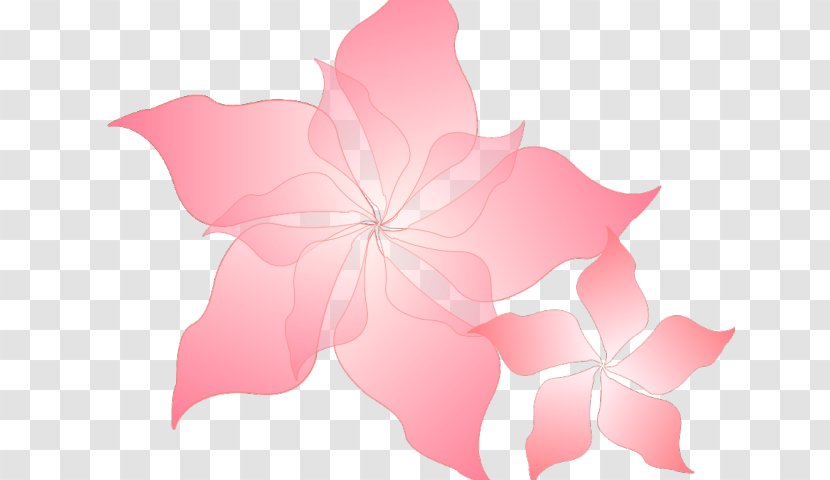 Pink Flower Cartoon - Plant - Perennial Magenta Transparent PNG