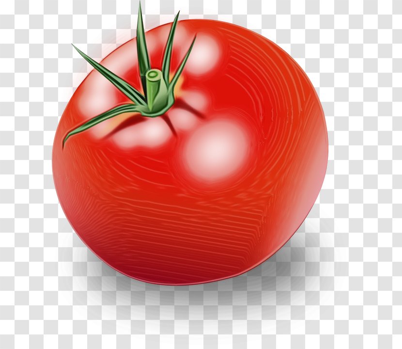 Tomato - Food - Nightshade Family Transparent PNG
