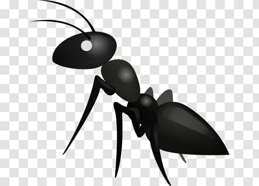 Ant GuessUp : Guess Up Emoji Sticker - Beetle - Ants Transparent PNG