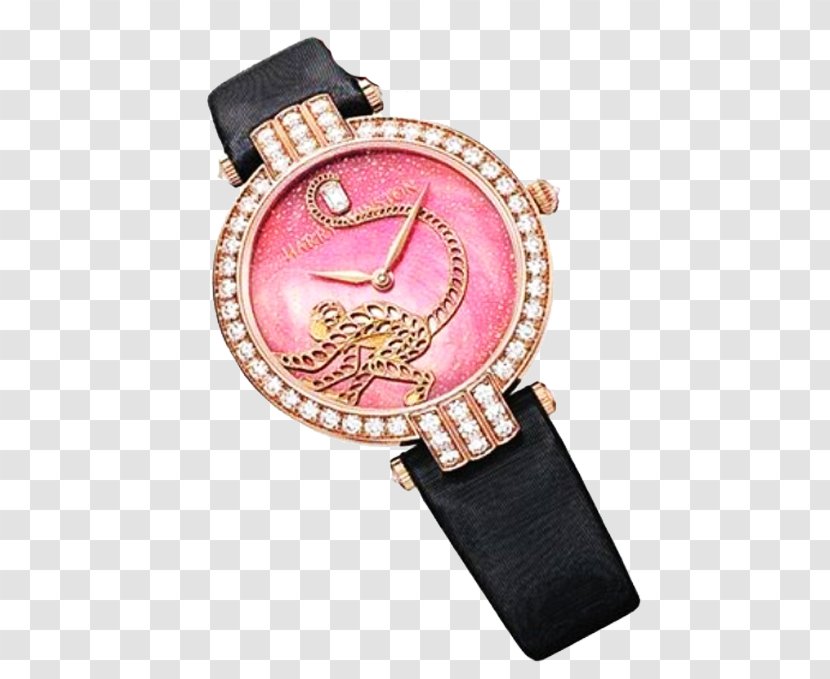 Monkey Limited Edition Watch Women - Strap - Brand Transparent PNG