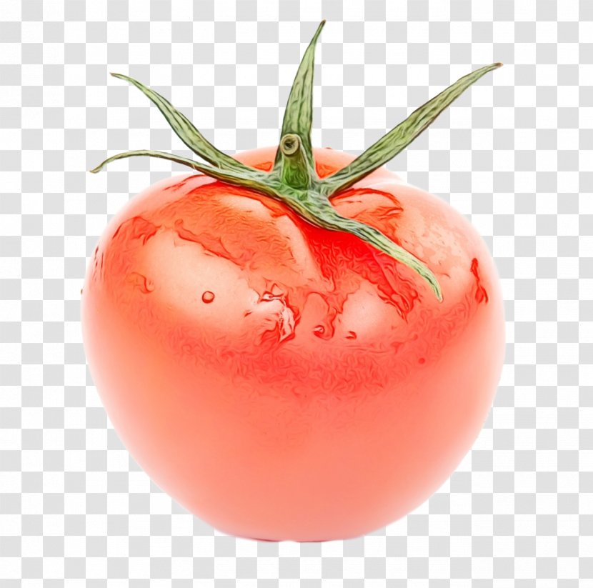 Tomato - Fruit - Superfood Nightshade Family Transparent PNG