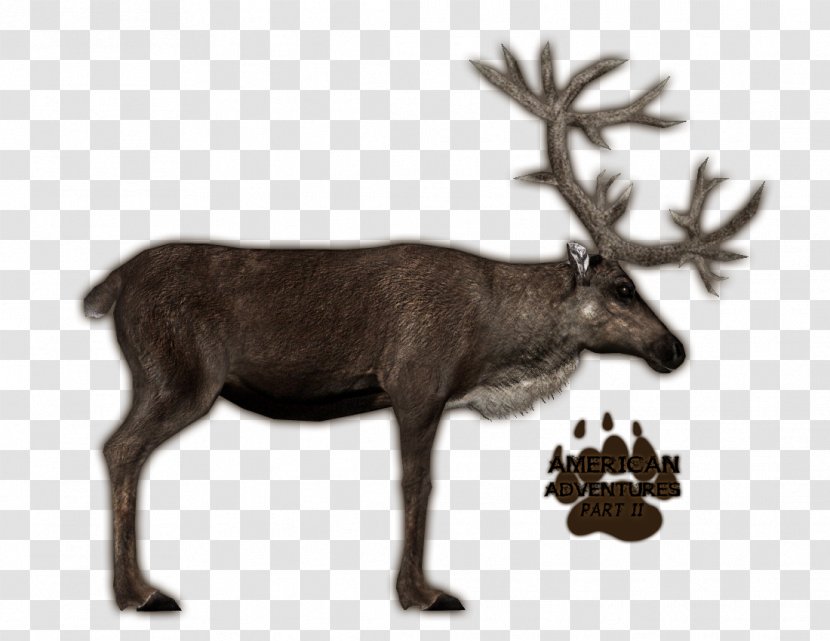 Zoo Tycoon 2 Deer Porcupine Caribou Quebec Elk - Reindeer Transparent PNG