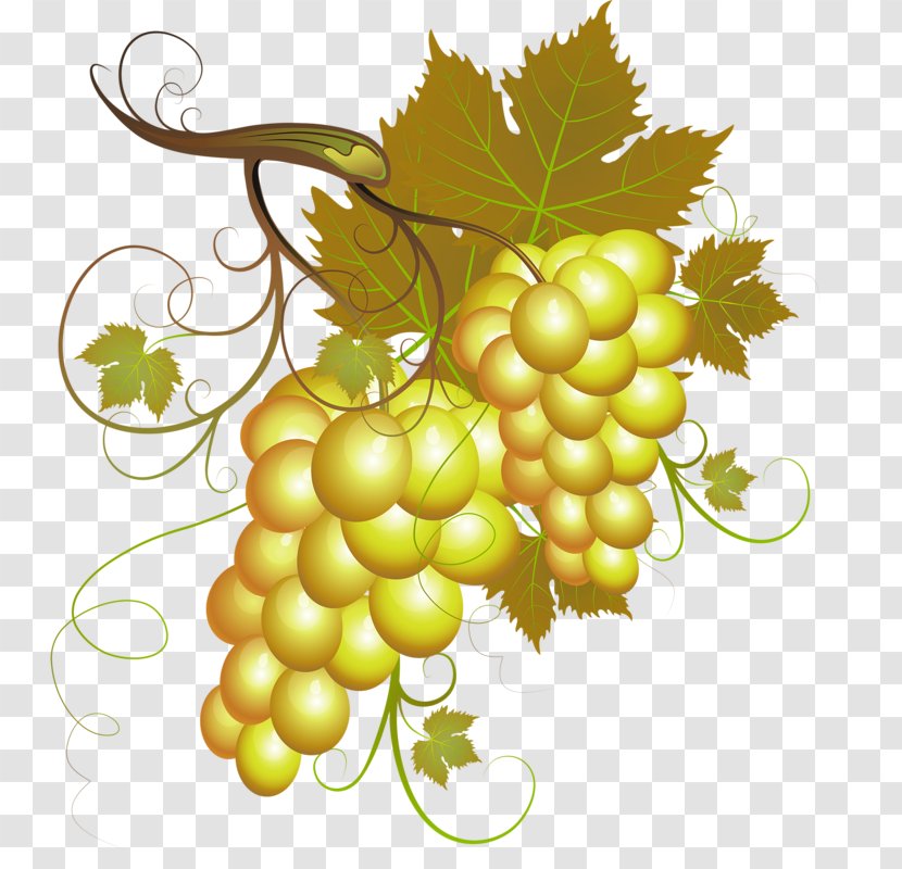 Grape Download - Two Bunches Of Grapes Transparent PNG