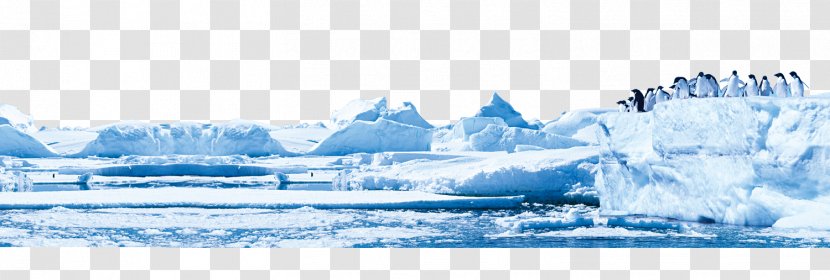 Antarctic Glacier Iceberg - Penguins On Transparent PNG