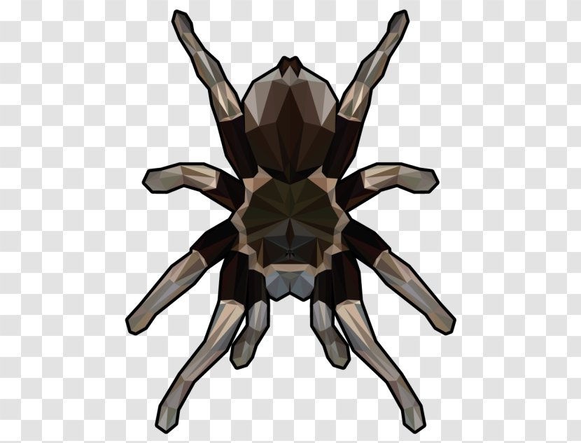 Tarantula Spider Art Clip - Hairy Men Transparent PNG