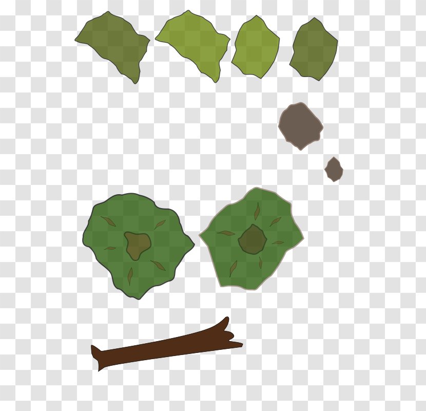 World Map Clip Art - Amazon Forest Transparent PNG