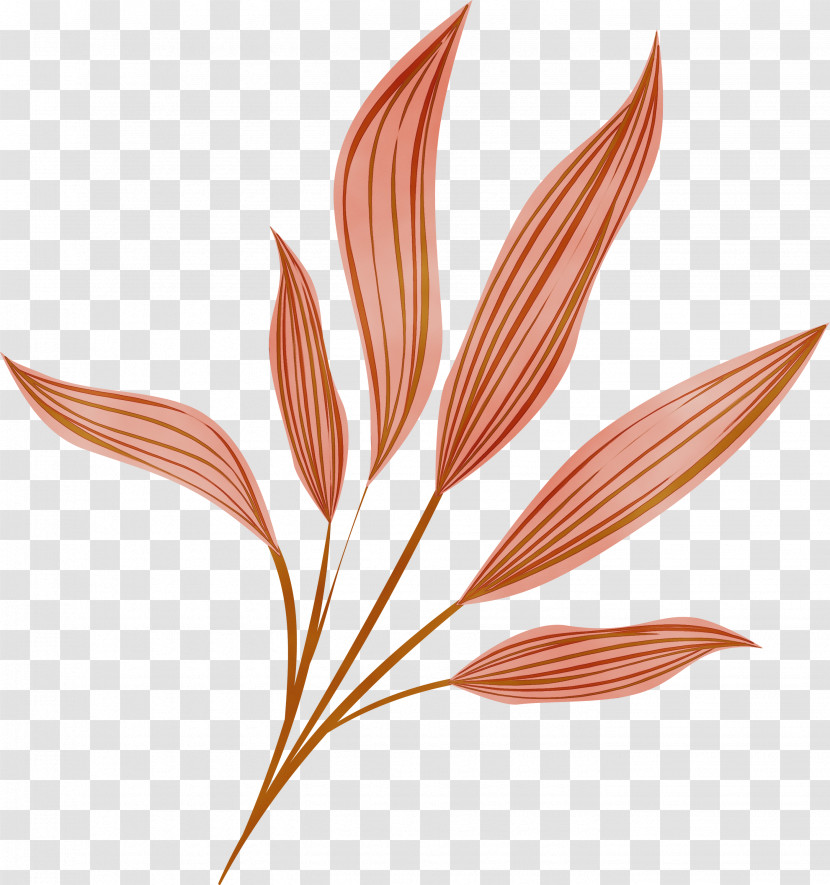 Leaf Plant Flower Grass Family Grass Transparent PNG