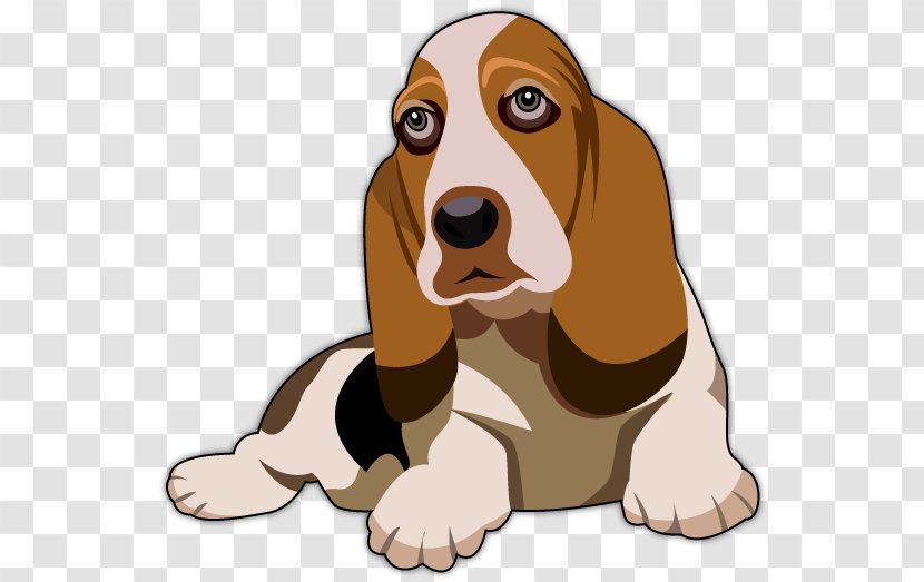 Basset Hound Artésien Normand Beagle Bloodhound - Dog Transparent PNG