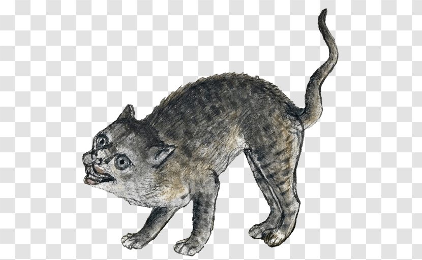 Whiskers Wildcat Middle Ages Medieval Art - Puma - Cat Transparent PNG