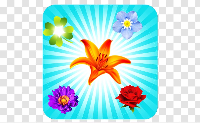 Floral Design Cut Flowers Desktop Wallpaper - Yellow Transparent PNG