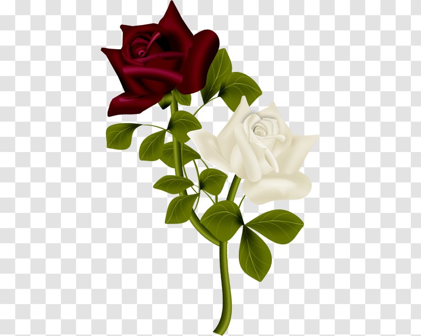 Love Rose Flower - Pedicel - Branch Bouquet Transparent PNG