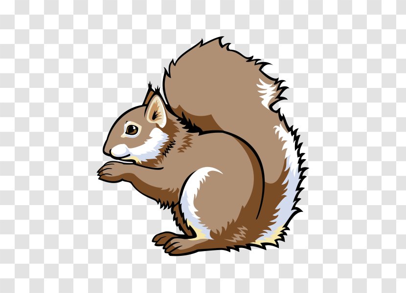 Chipmunk Cartoon Clip Art - Red Squirrel - Snout Transparent PNG