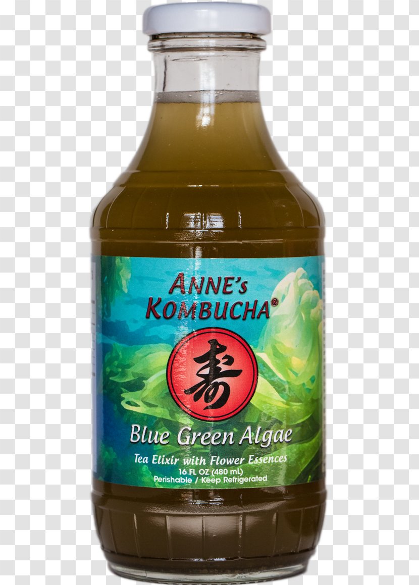 Kombucha Green Algae Blue-green Bacteria Seaweed - Food Transparent PNG