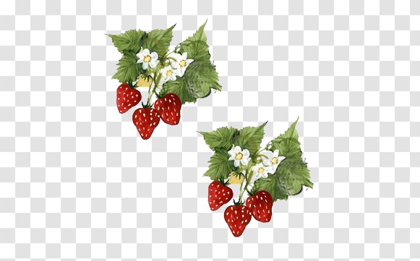 Paper Flower - Alpine Strawberry - Native Raspberry Transparent PNG