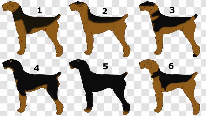 Dog Breed Airedale Terrier German Shepherd Puppy Rough Collie Transparent PNG