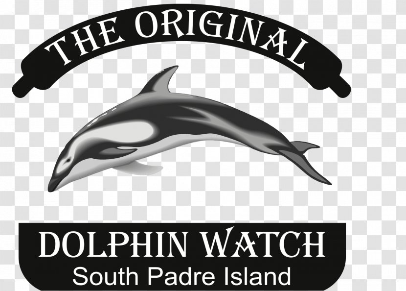 American Diving - Scuba Set - The Original Dolphin Watch South Padre Island, Texas BoulevardDolphin Transparent PNG