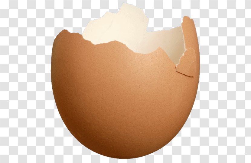 Eggshell Food Easter Egg Typographical Error - De Transparent PNG