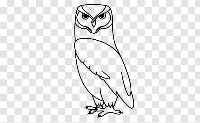 Owl Beak Bird Clip Art - Fauna Transparent PNG