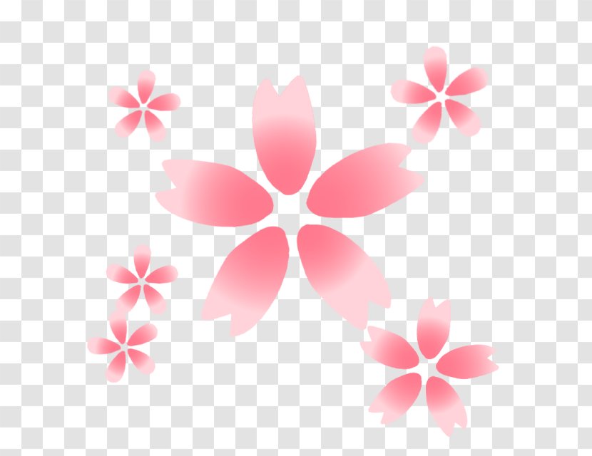 Petal Flower Photography Cherry Blossom Transparent PNG
