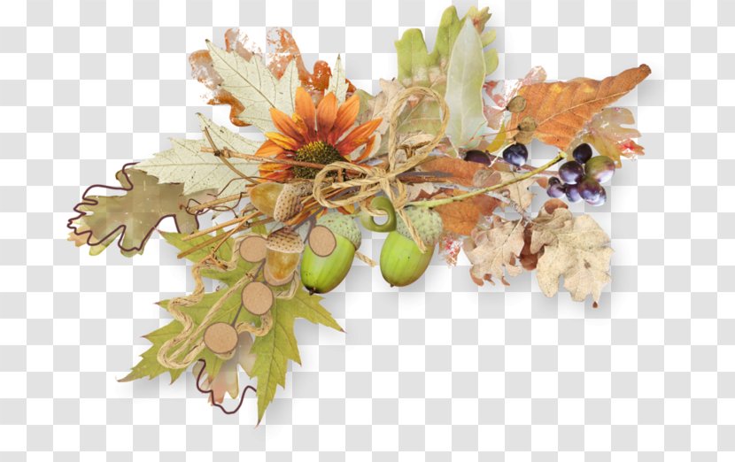 Autumn Clip Art - Flower - Food Transparent PNG