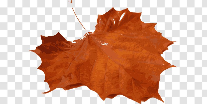 Autumn Leaf Color Maple Clip Art - Orange - Leaves Cliparts Transparent PNG