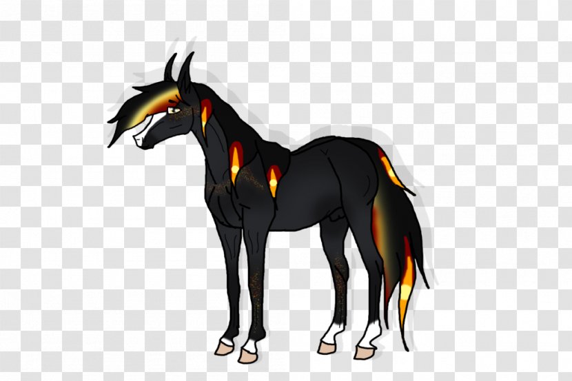 Pony Mustang Foal Stallion Halter - Horse Like Mammal Transparent PNG