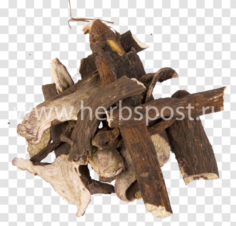 Paeonia Anomala Root Peony Herbaceous Plant - Raw Material Transparent PNG