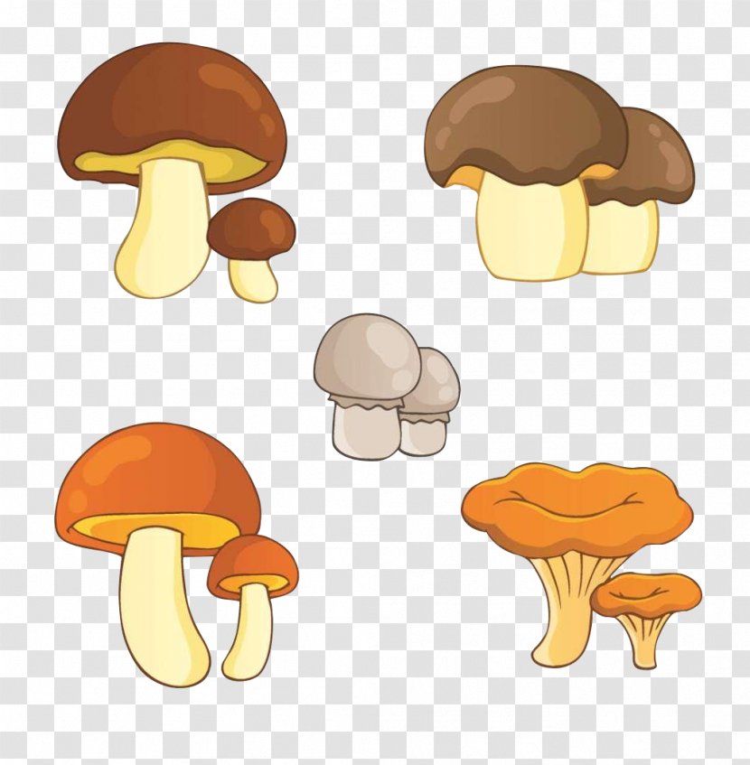 Edible Mushroom Illustration - Orange - Collection Transparent PNG