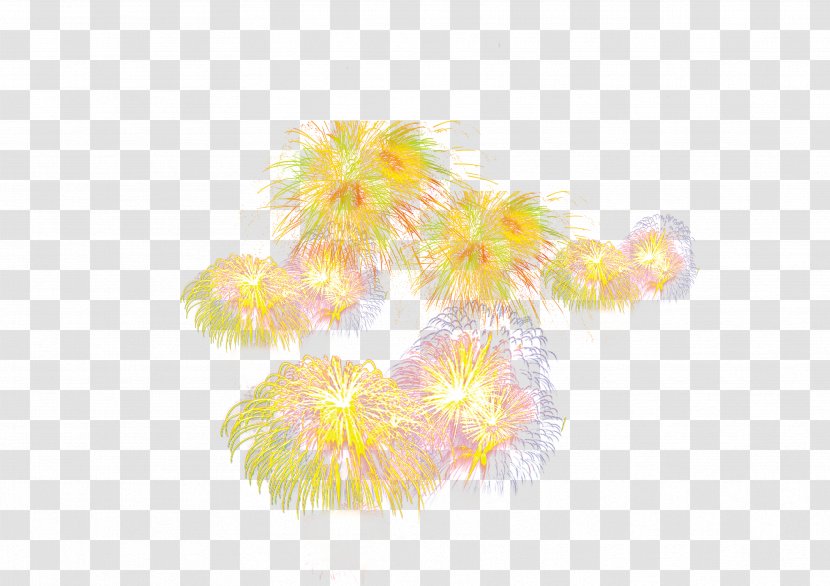 Petal Pattern - Orange - Golden Fireworks Pull Material Free Transparent PNG