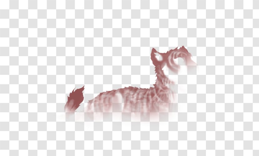 Kitten Whiskers Tabby Cat Paw Transparent PNG