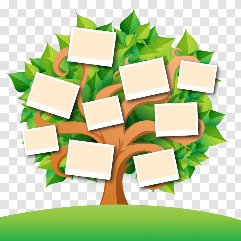 Family Tree Genealogy Book - Generation - Vector With Leaves Transparent PNG